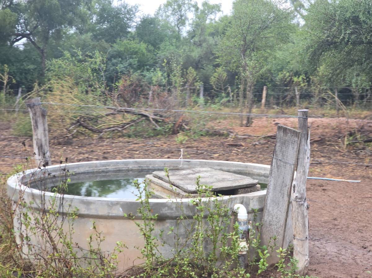 VENDO ESTANCIA EN BOQUERON - MCAL JOSE FÉLIX ESTIGARRIBIA — foto 3