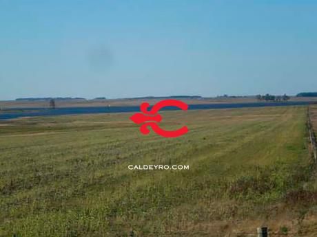 Campo Agrícola El Lago. Ref: 1343