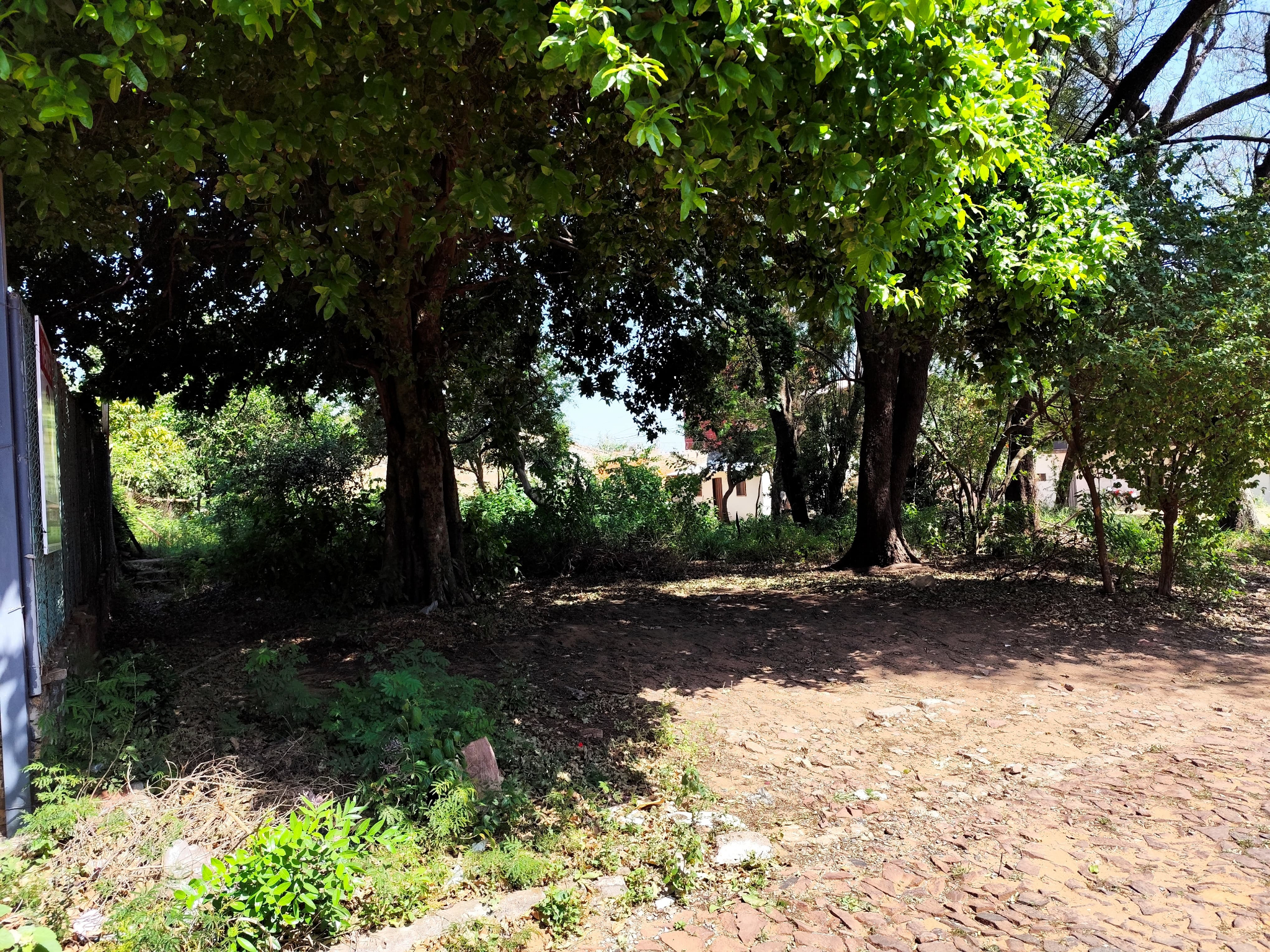Terreno de 388m² a 30mts de Av. Avelino Martínez — foto 2