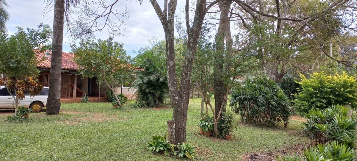 VENDO CASA QUINTA EN J.A SALDIVAR — foto 3