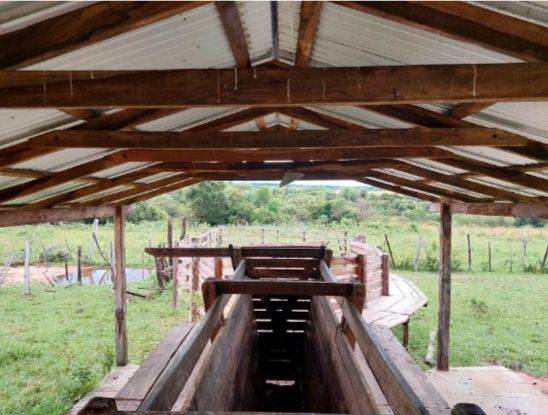 En venta ESTANCIA GANADERA ubicada en el Distrito de Caapucu — foto 3