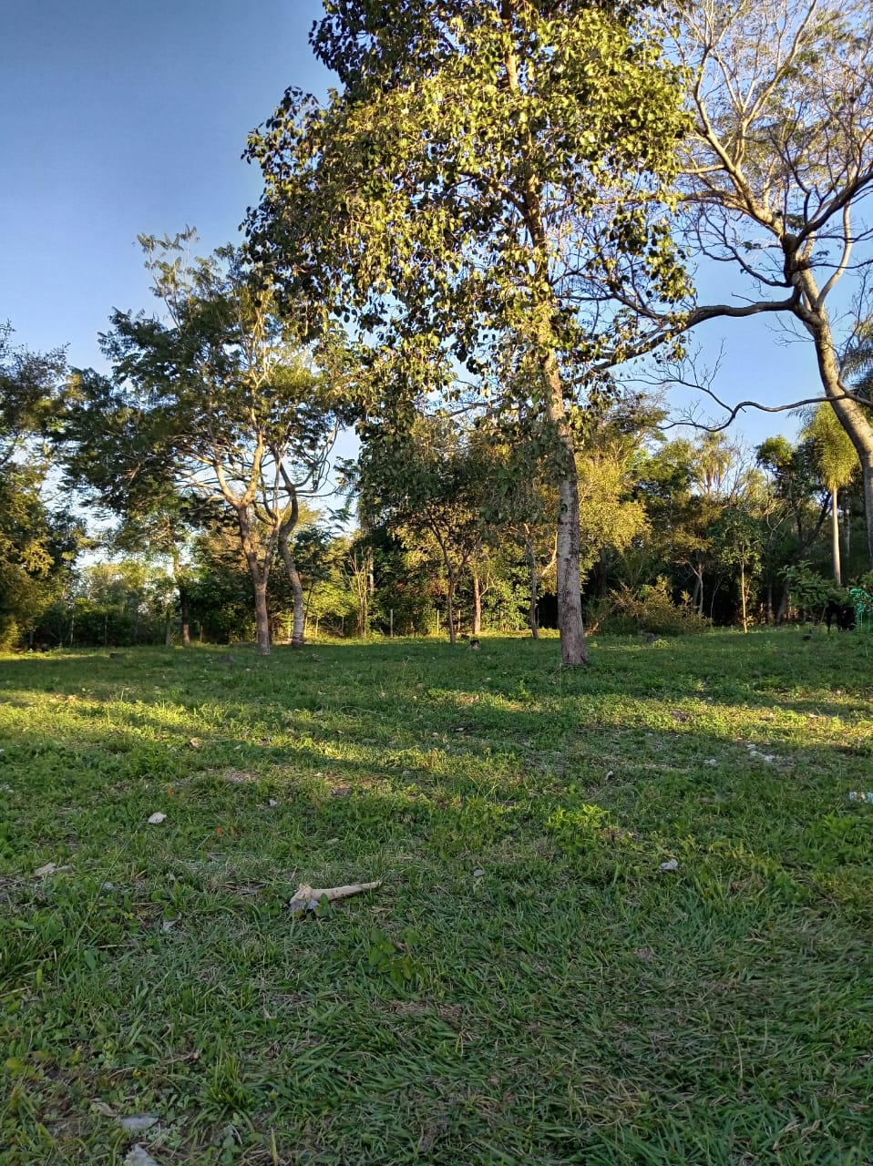 Terreno en venta en Nueva Colombia — foto 2