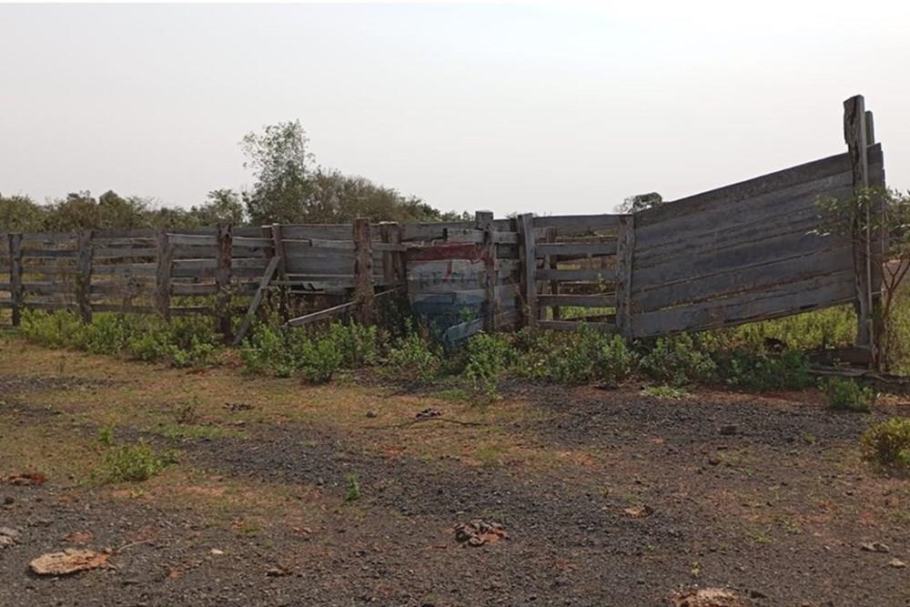 VENDO 195 HECTAREAS EN CANENDIYU — foto 2