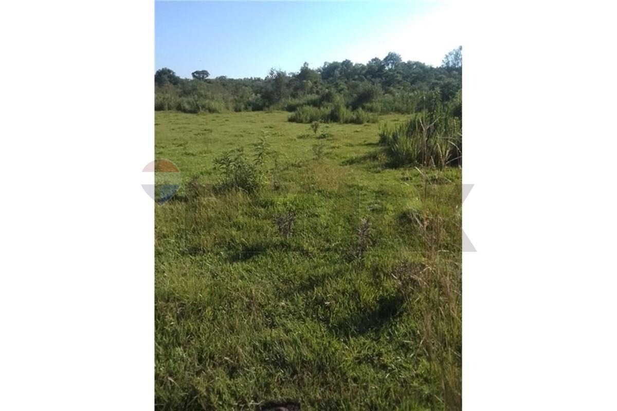 EN VENTA 62 HECTÁREAS EN CORONEL BOGADO — foto 3