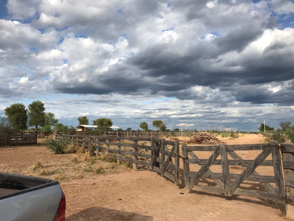 Vendo Campo de 8.000 Hectáreas, Zona Misión Santa Rosa - CLCS7408623 — foto 2