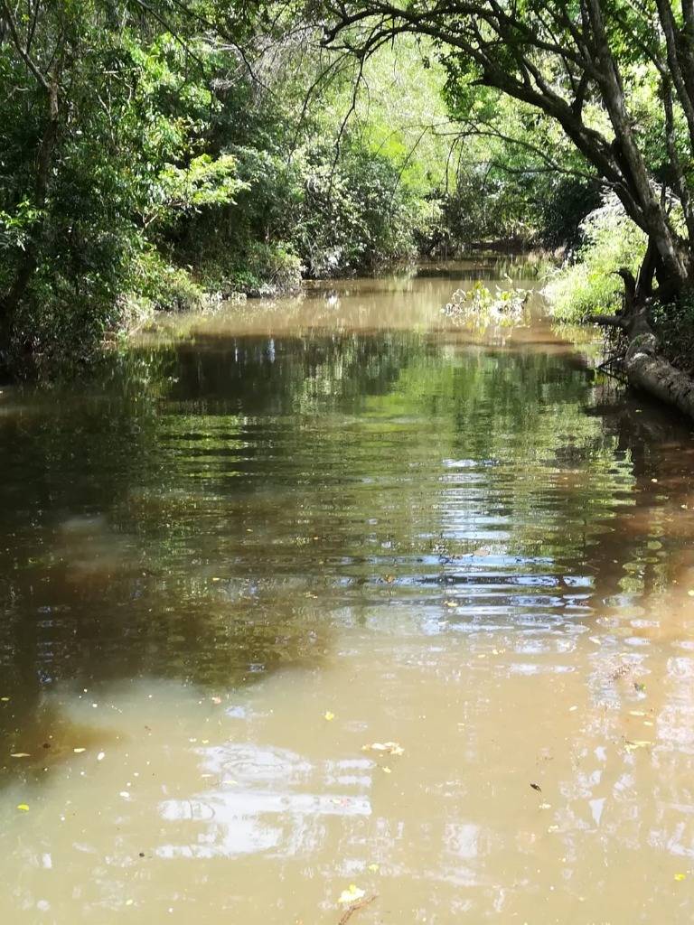 Vendo estancia en Caapucu - Departamento de Paraguarí — foto 2