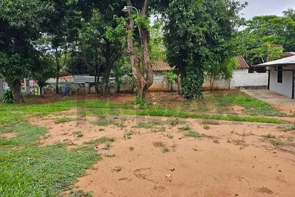 CASA EN ALQUILER - SAN LORENZO — foto 3