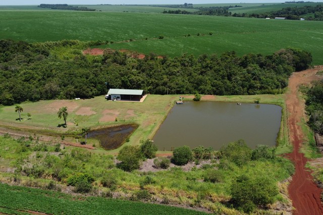 Vendo campo de 45 hectáreas mecanizado en ciudad del Este — foto 3