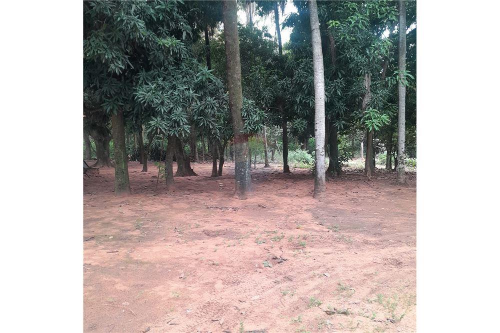 Terreno - Venta - Paraguay Cordillera San Bernardino — foto 3