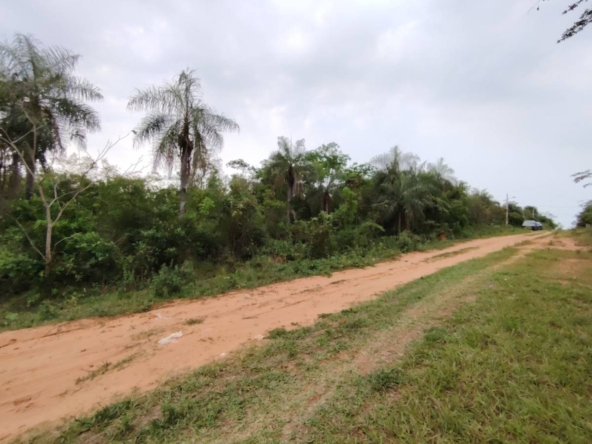 VENDO TERRENO EN ALTOS — foto 3