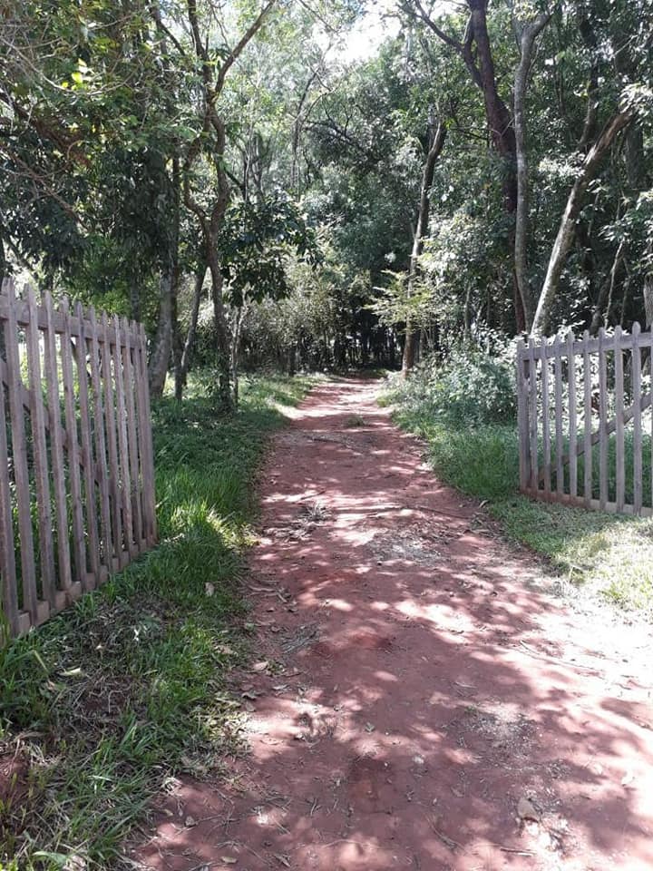 VENDO ESTANCIA EN VALENZUELA — foto 2