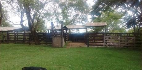 Estancia Coronel Oviedo. 53 Hectareas Para Ganaderia Semi Intensiva