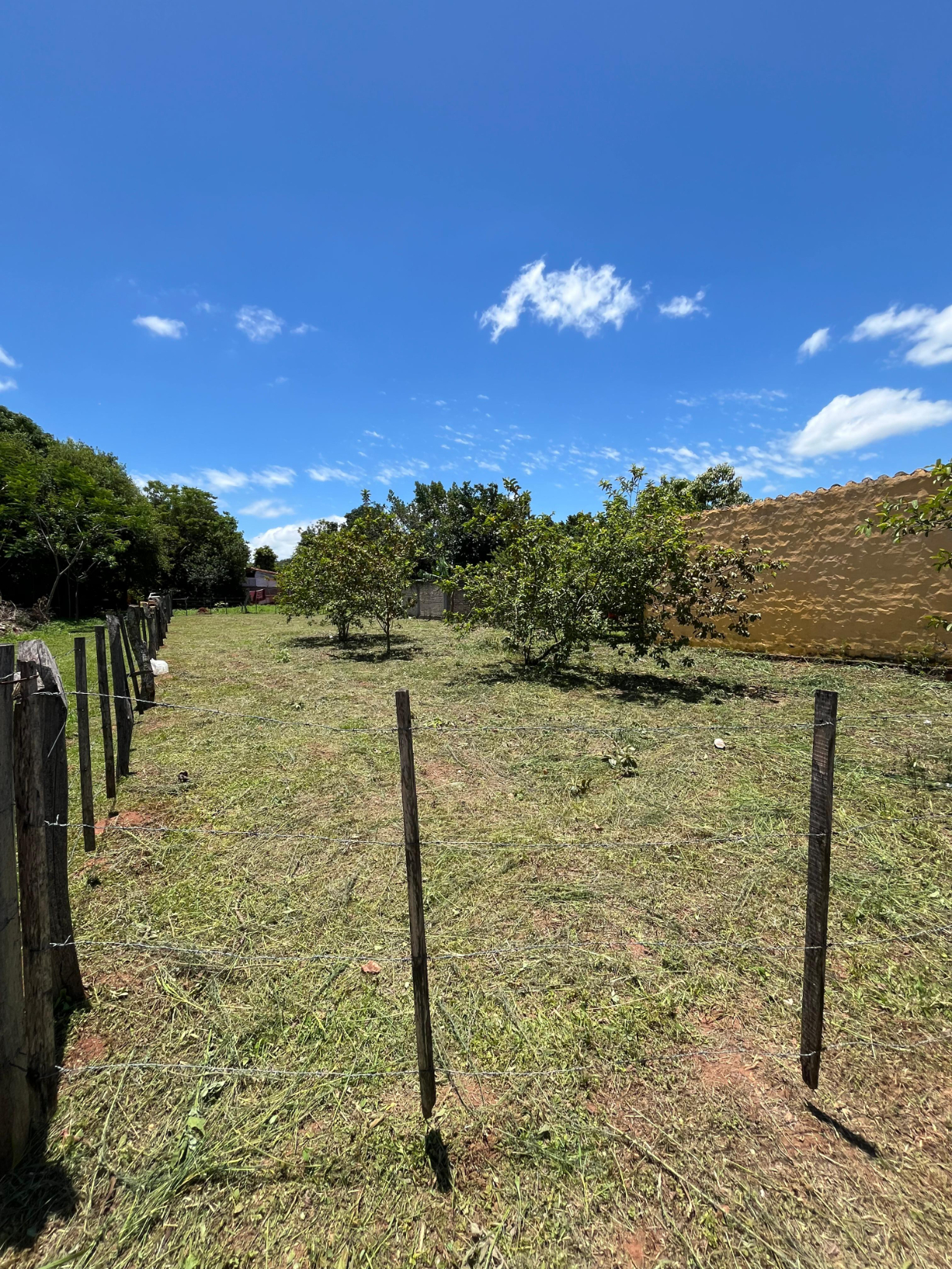 Oportunidad de invertir ???? Terreno en Paraguari en venta ???????? — foto 3