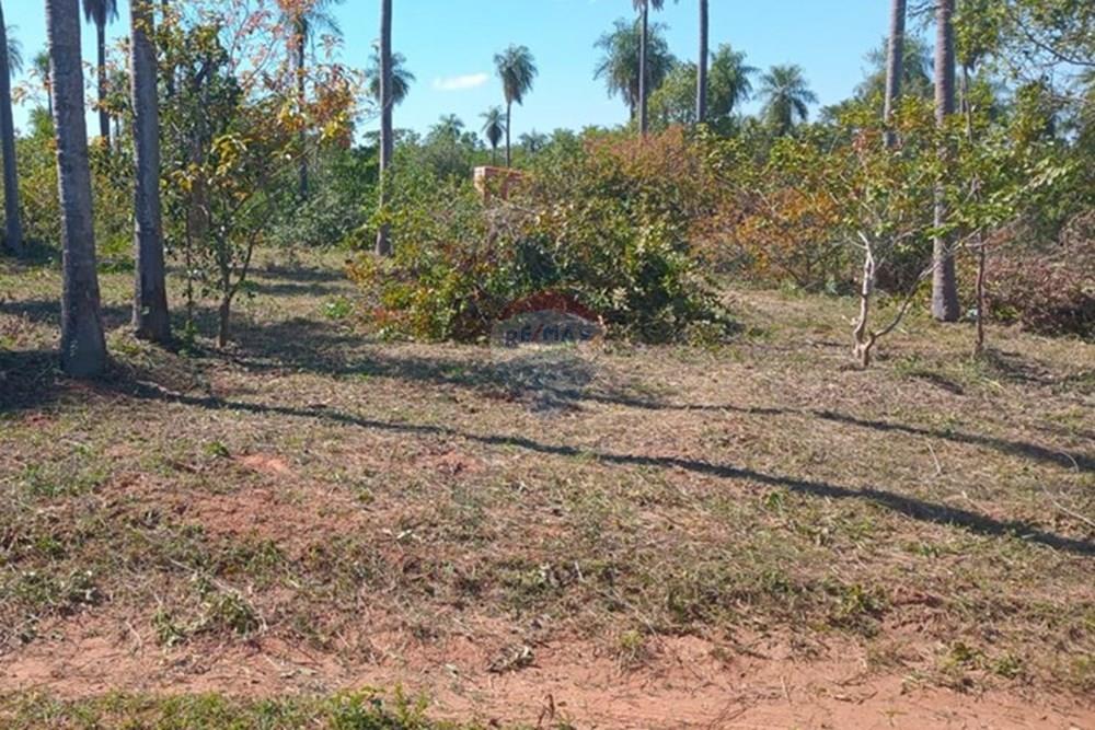 TERRENO EN VENTA EN LOMA GRANDE — foto 3