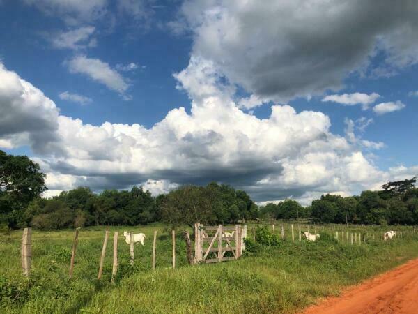 VENDO 52 HECTAREAS APTA PARA AGRICULTURA Y GANADERIA — foto 3
