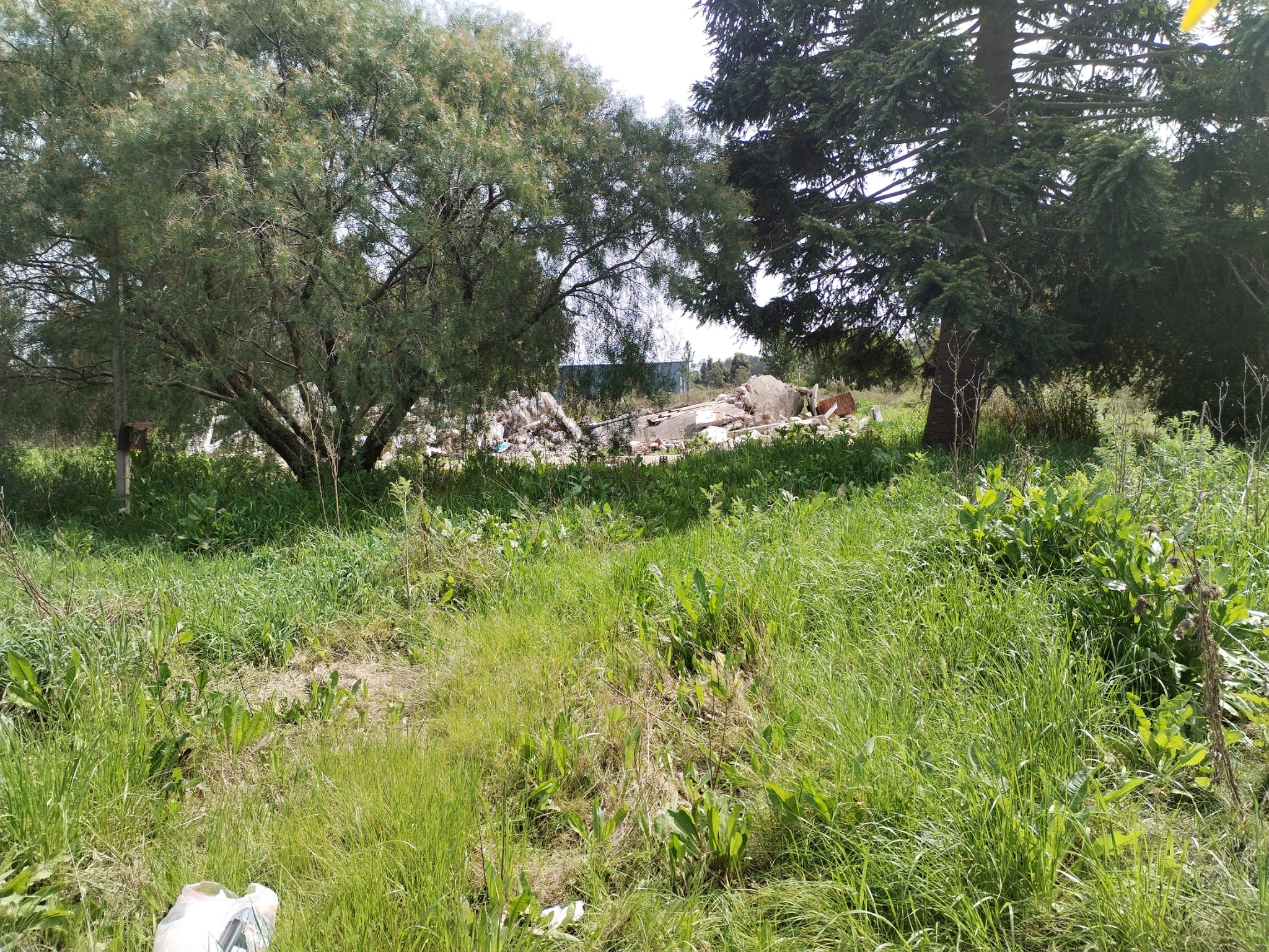 Terreno de 5.000 m2 en alquiler a metros de Car One · Foto 5
