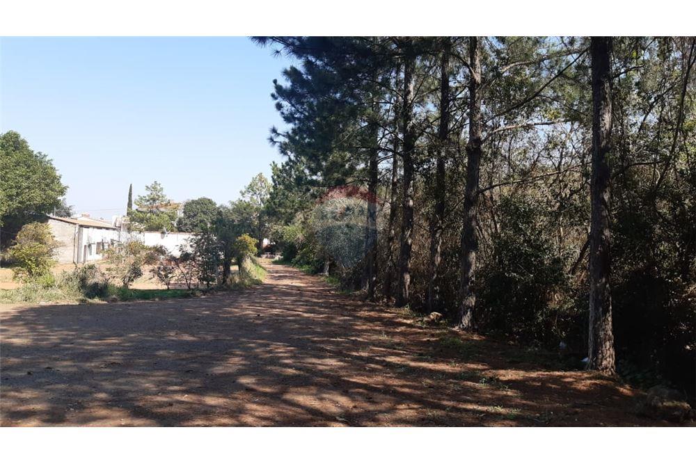 Depósito - Alquiler - Encarnación, Paraguay — foto 2