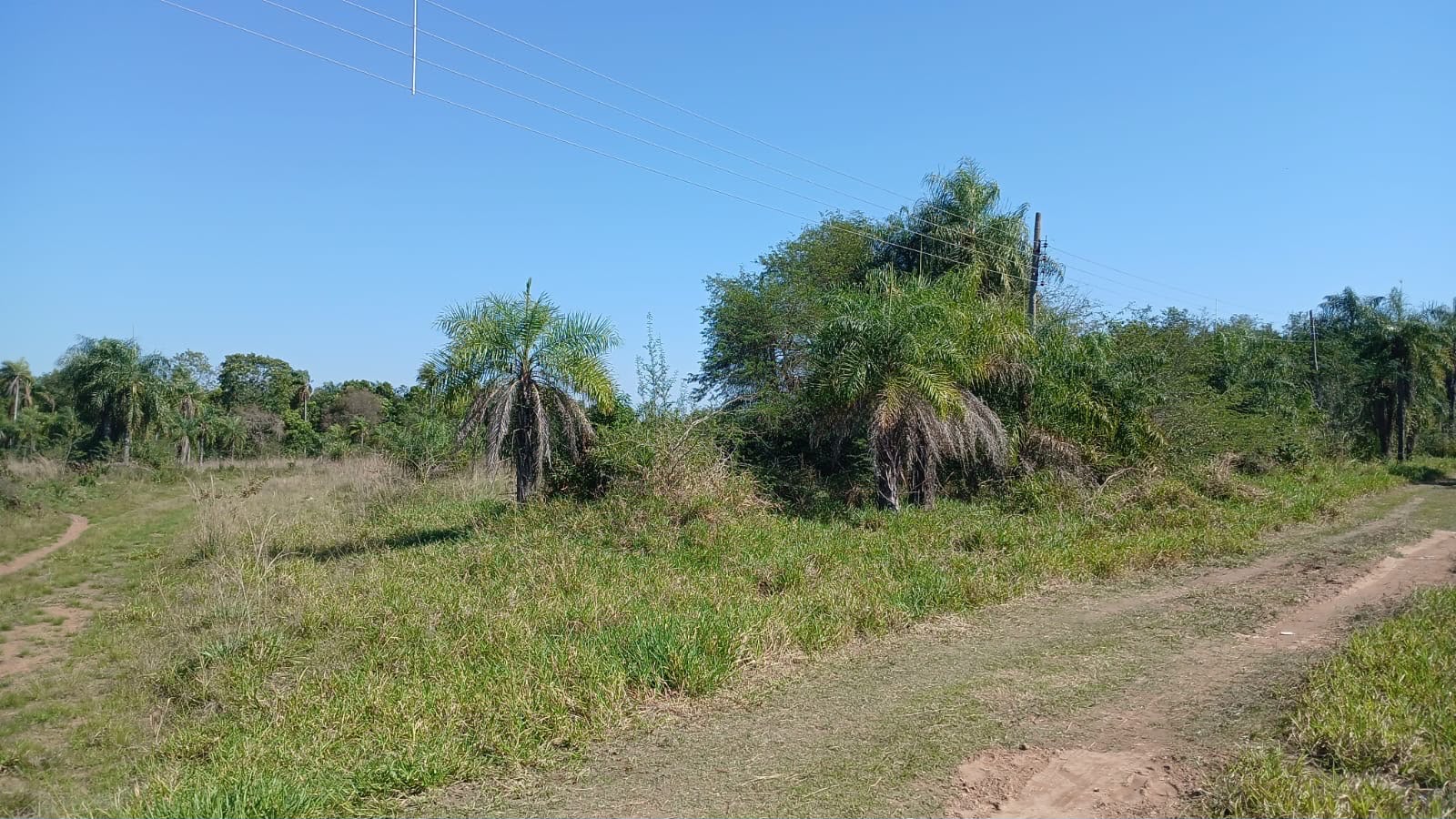 EN VENTA TERRENO EN SAN BERNAEDINO - CASA BLANCA — foto 3