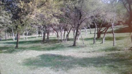 Vendo Cuatro Terrenos Juntos En Altos
