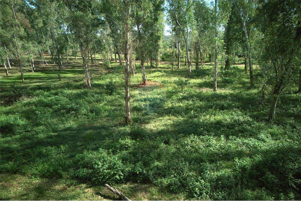 REMATO  HERMOSO Y AMPLIO TERRENO EN SANBER — foto 2