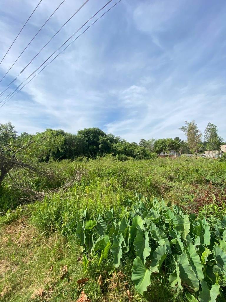 VENTA DE AMPLIO TERRENO EN SAN BERNARDINO COUNTRY CLUB - ID 41333 — foto 3