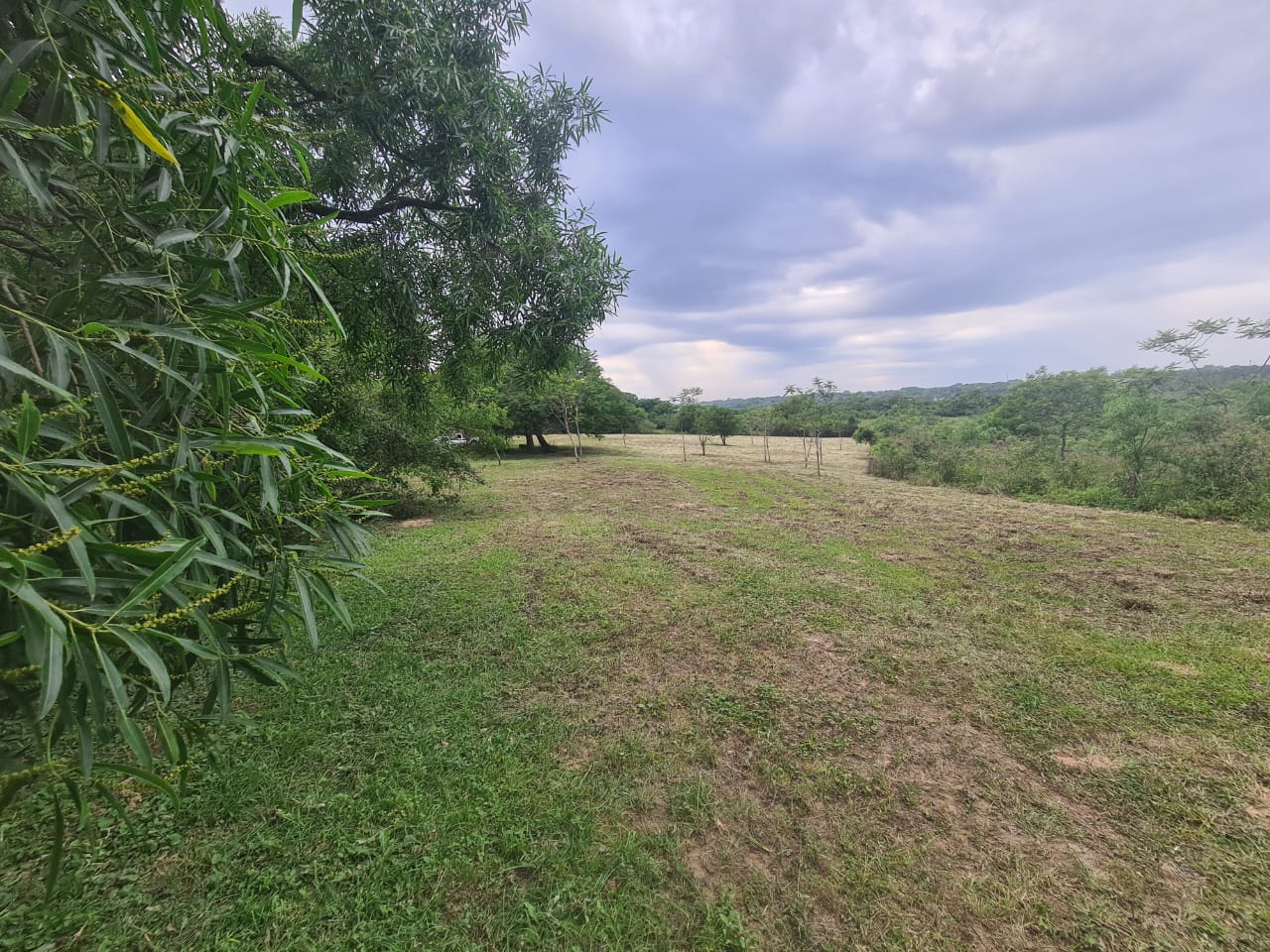 Terreno en venta en Isla Bogado, Luque — foto 2