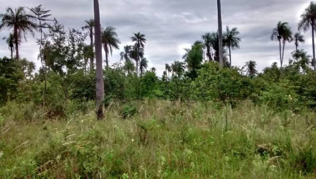 Venta de Terreno en Atyra, Cordillera — foto 3