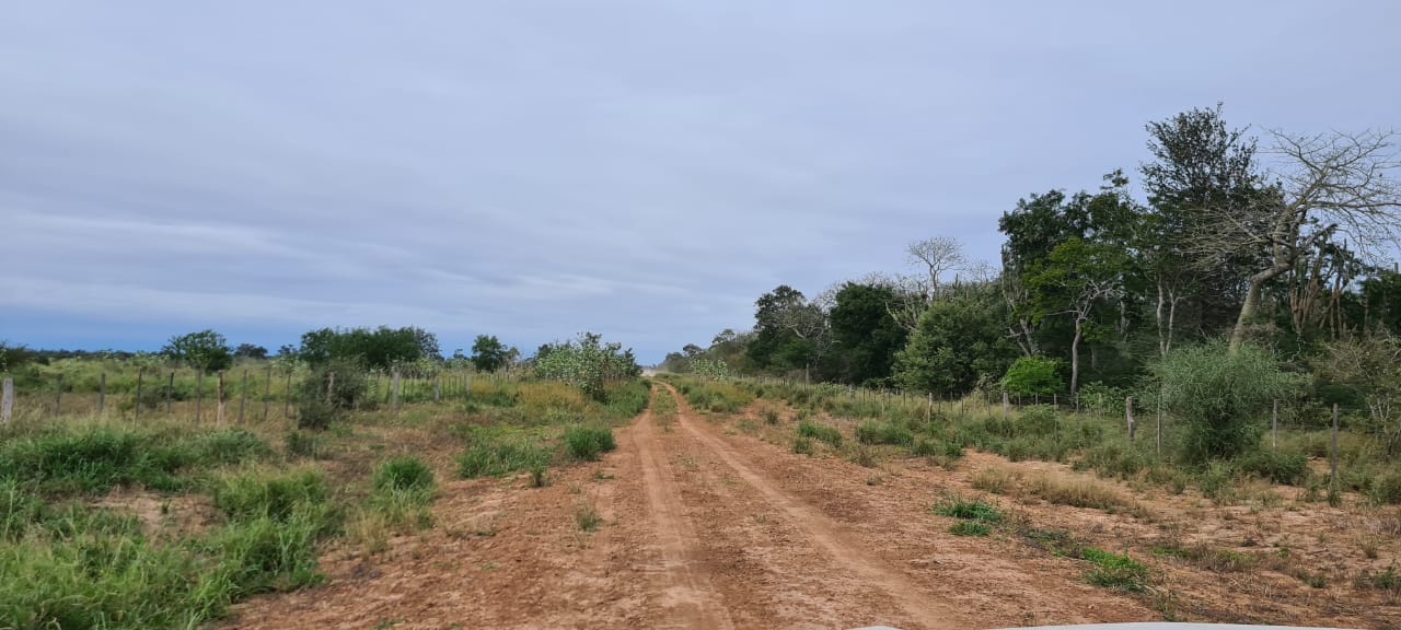 Vendo Campo de 16.983 Hectáreas en Alto Paraguay, Zona Madrejón - CLCS6508109 — foto 2