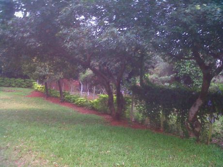 Vendo Terreno En Bo. Caaguazu De ñemby