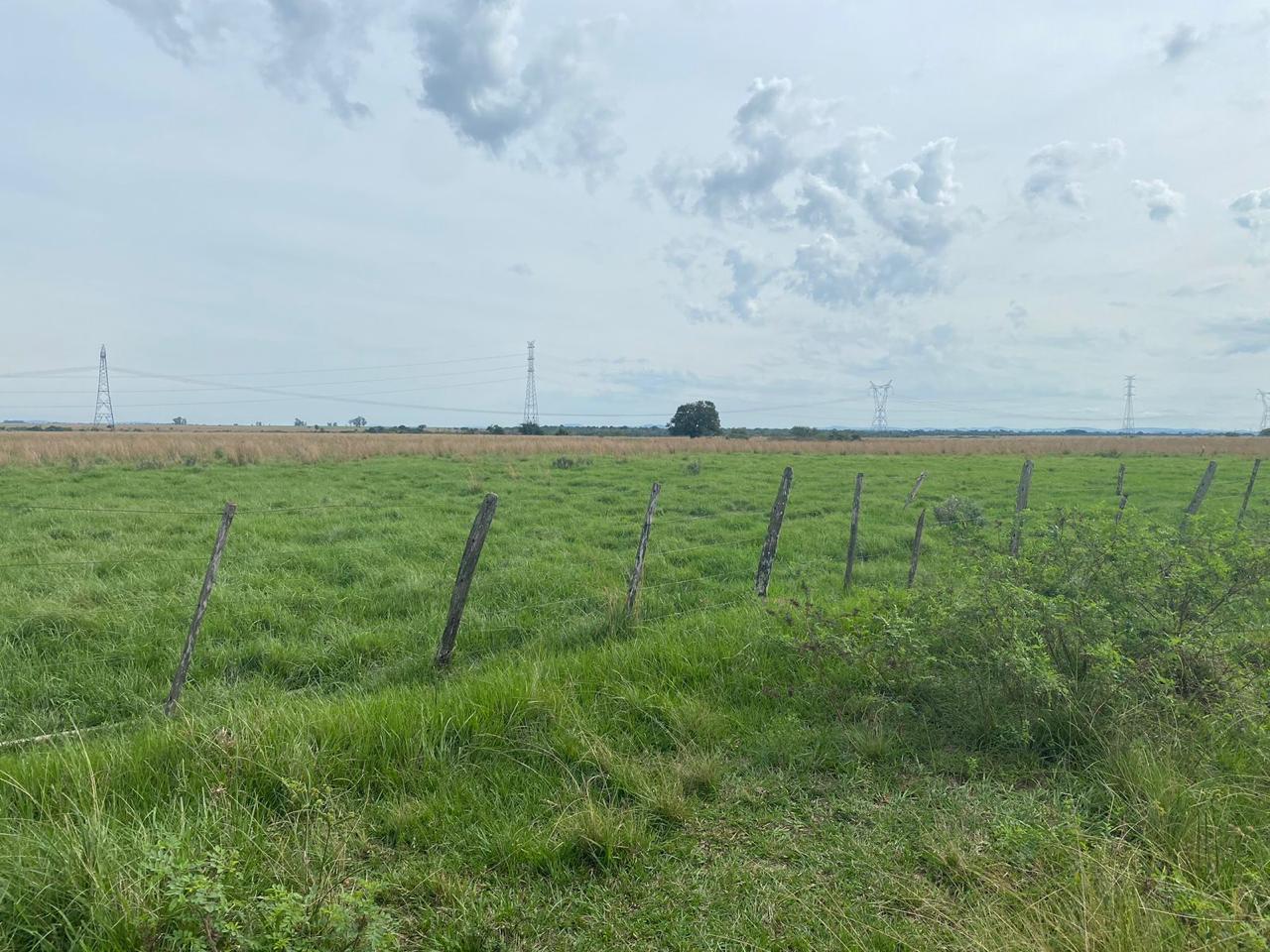 VENDO CAMPO EN SAN MIGUEL MISIONES 102 HECTAREAS — foto 3