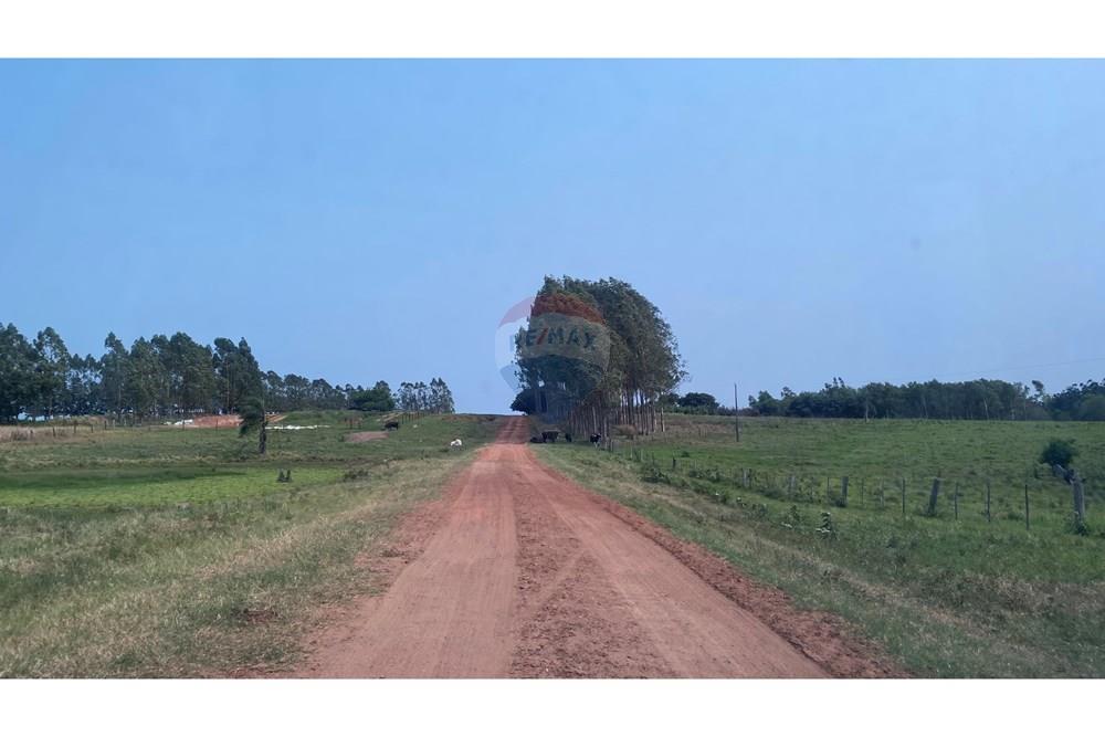 Estancia/campo - Venta - Simón Bolívar, Paraguay — foto 3
