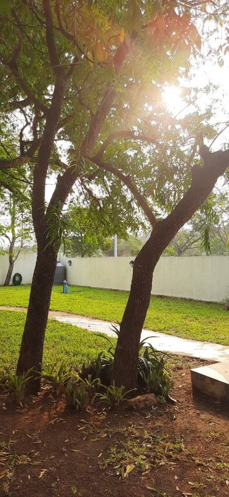 ALQUILO CASA EN SAN BERNARDINO — foto 2