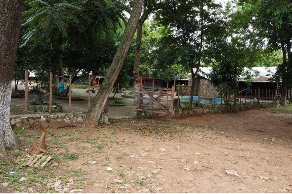 VENTA DE GRANJA AVICOLA EN LA CIUDAD DE ALTOS — foto 3
