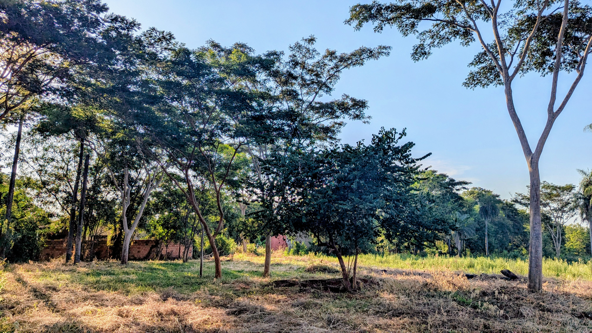 Terreno en venta en Limpio — foto 3