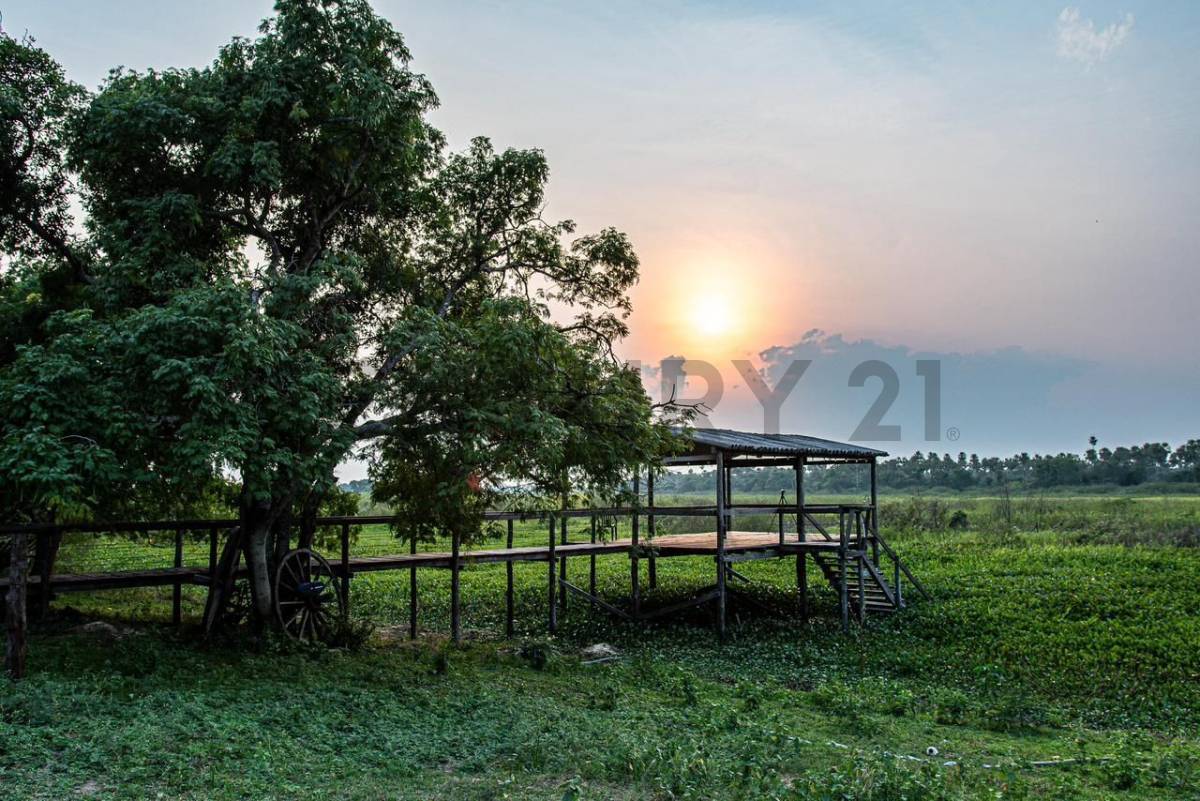 Vendo Estancia En Fuerte Olimpo — foto 3