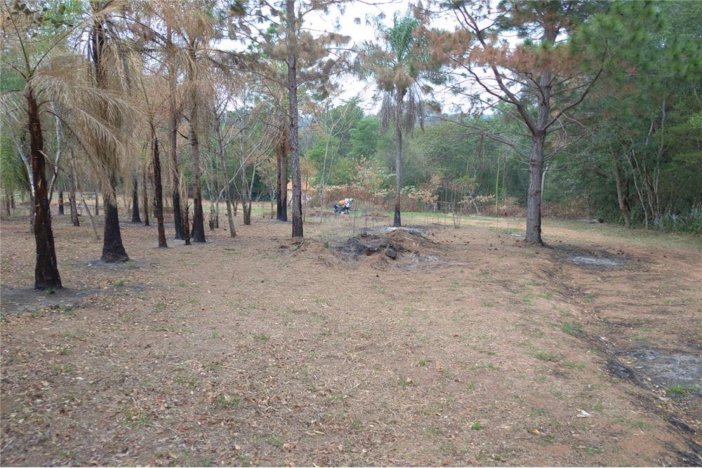VENDO AMPLIO TERRENO EN CHOLOLO PIRIBEBUY!! — foto 2