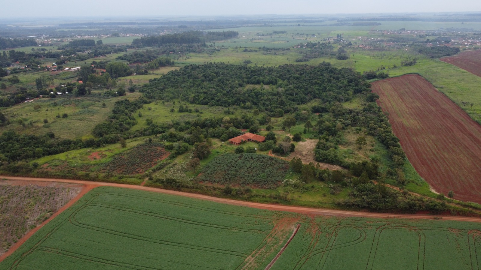 VENDO 40 HECTAREAS EN MINGA GUAZU   KM 28 ALTO PARANÁ — foto 2