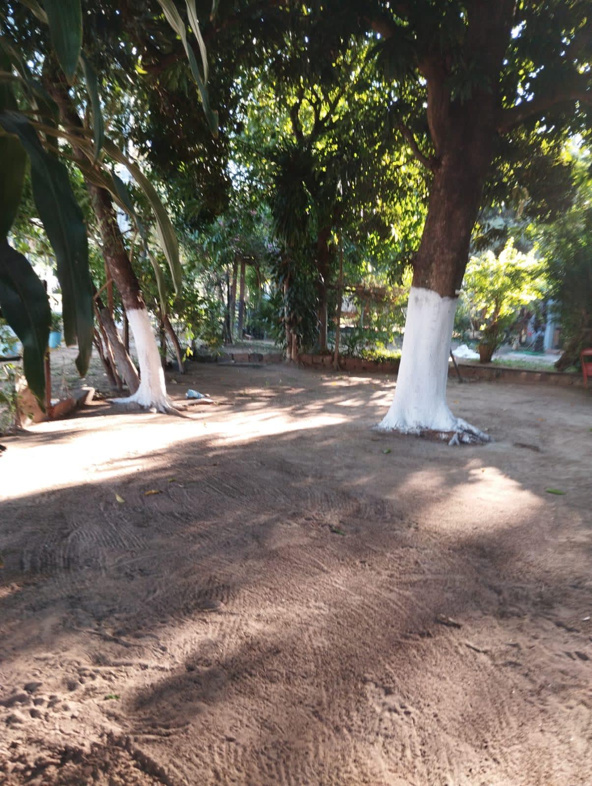 SAN BERNARDINO ZONA ANFITEATRO EN VENTA TERRENOS DE 735 M2 — foto 2