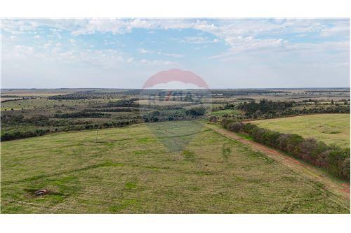 Estancia Agro Ganadera de 2.045 hectáreas en San Pedro — foto 2