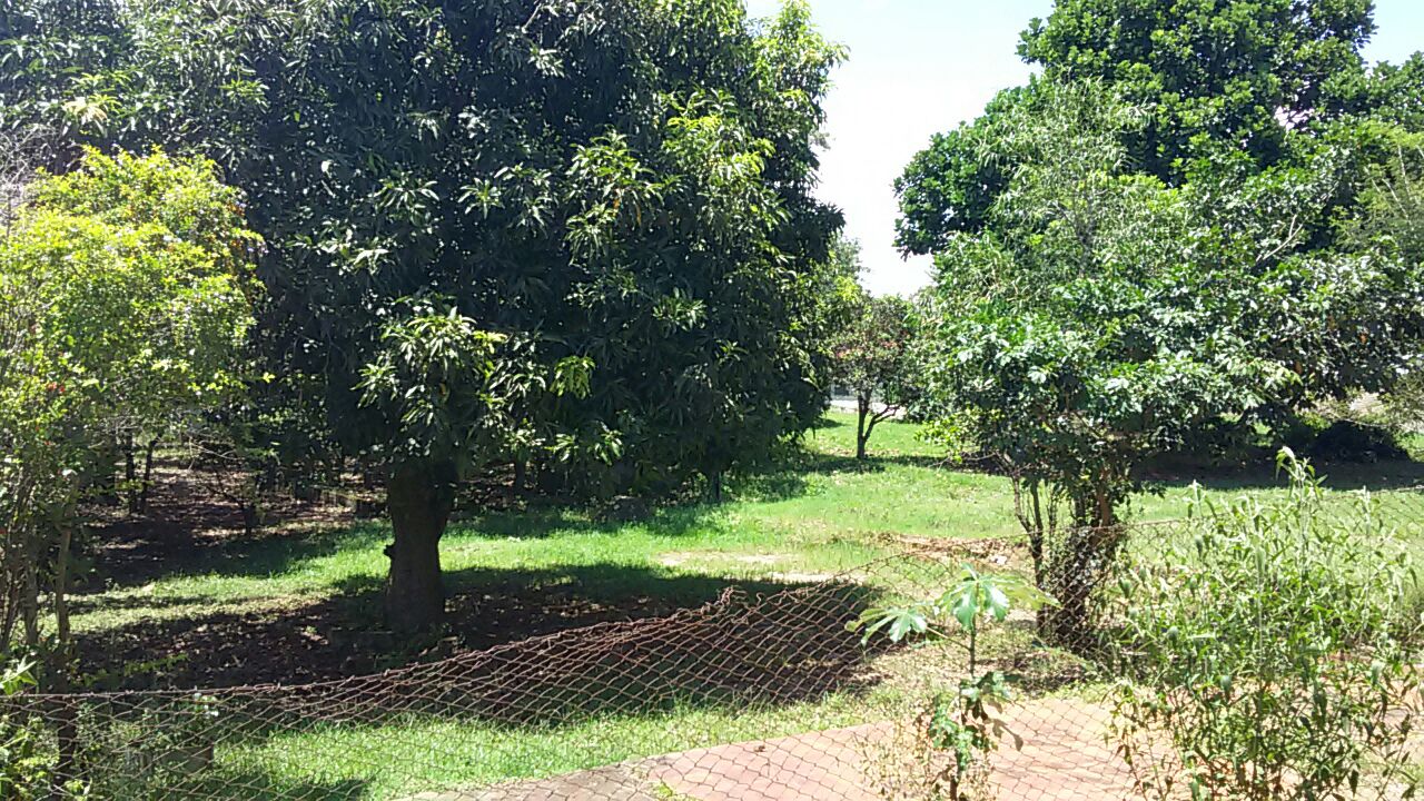 Excelente oportunidad de Negocio — foto 3