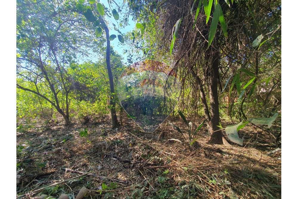 VENTA  DE AMPLIO TERRENO EN SAN ANTONIO CENTRAL — foto 3