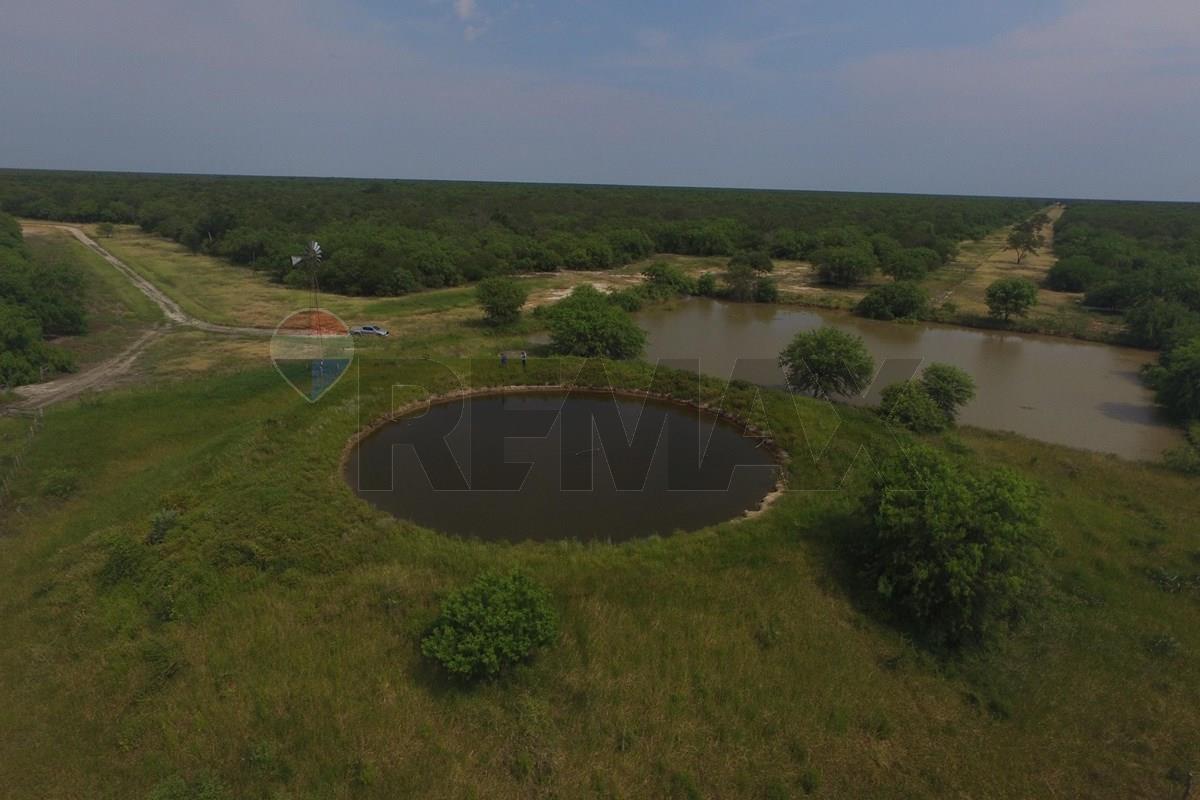 Estancia/Campo - Venta - Puerto Pinasco, Presidente Hayes, Paraguay — foto 3
