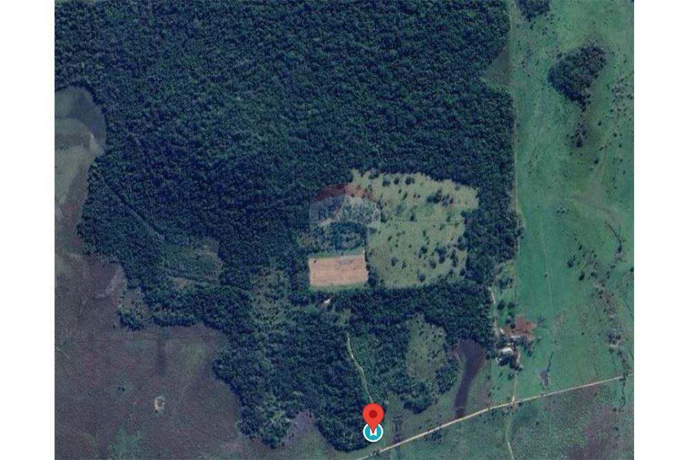 Terreno en VENTA - La Colmena — foto 2