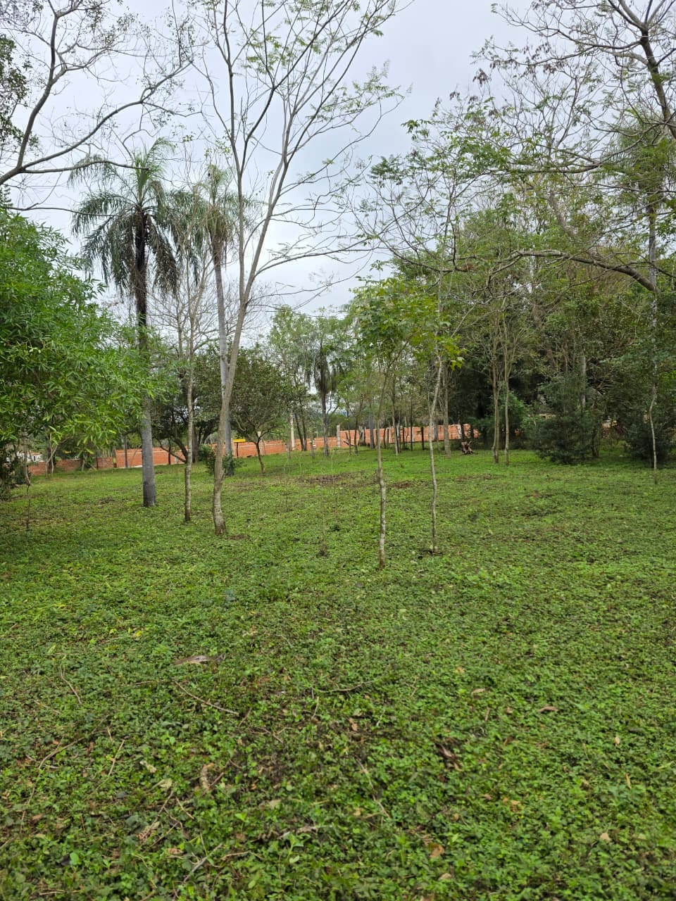 Terreno en venta en Caacupe — foto 2