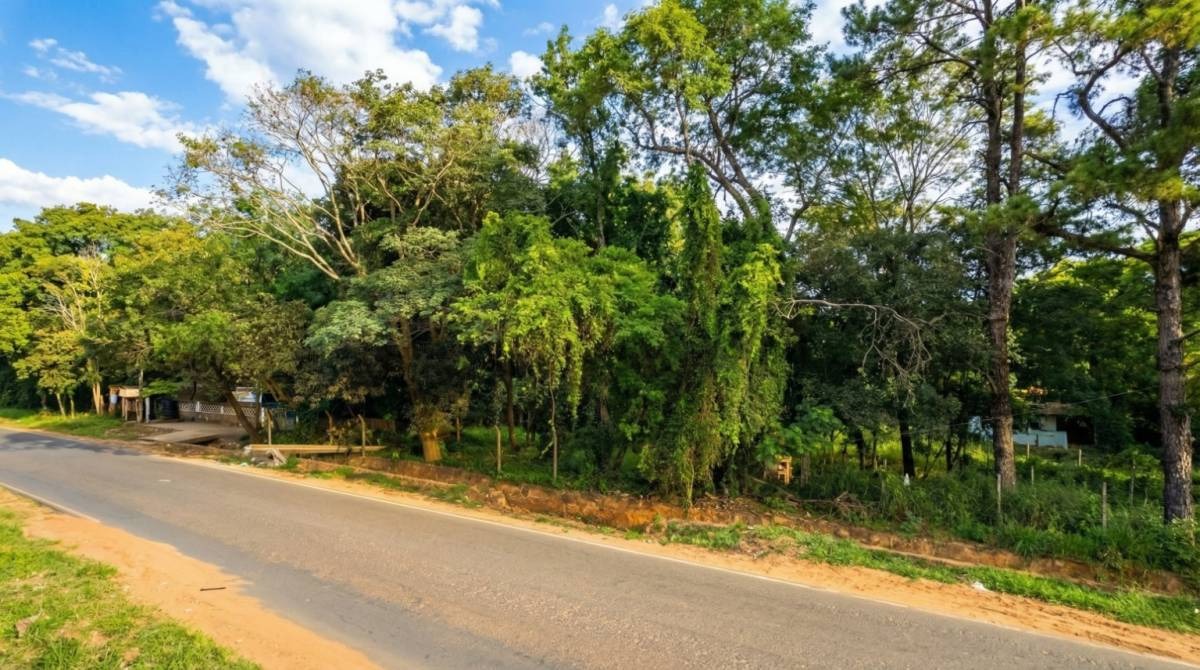 VENDO TERRENO SOBRE RUTA CAPIATÁ / THOMSON / YPANÉ — foto 2