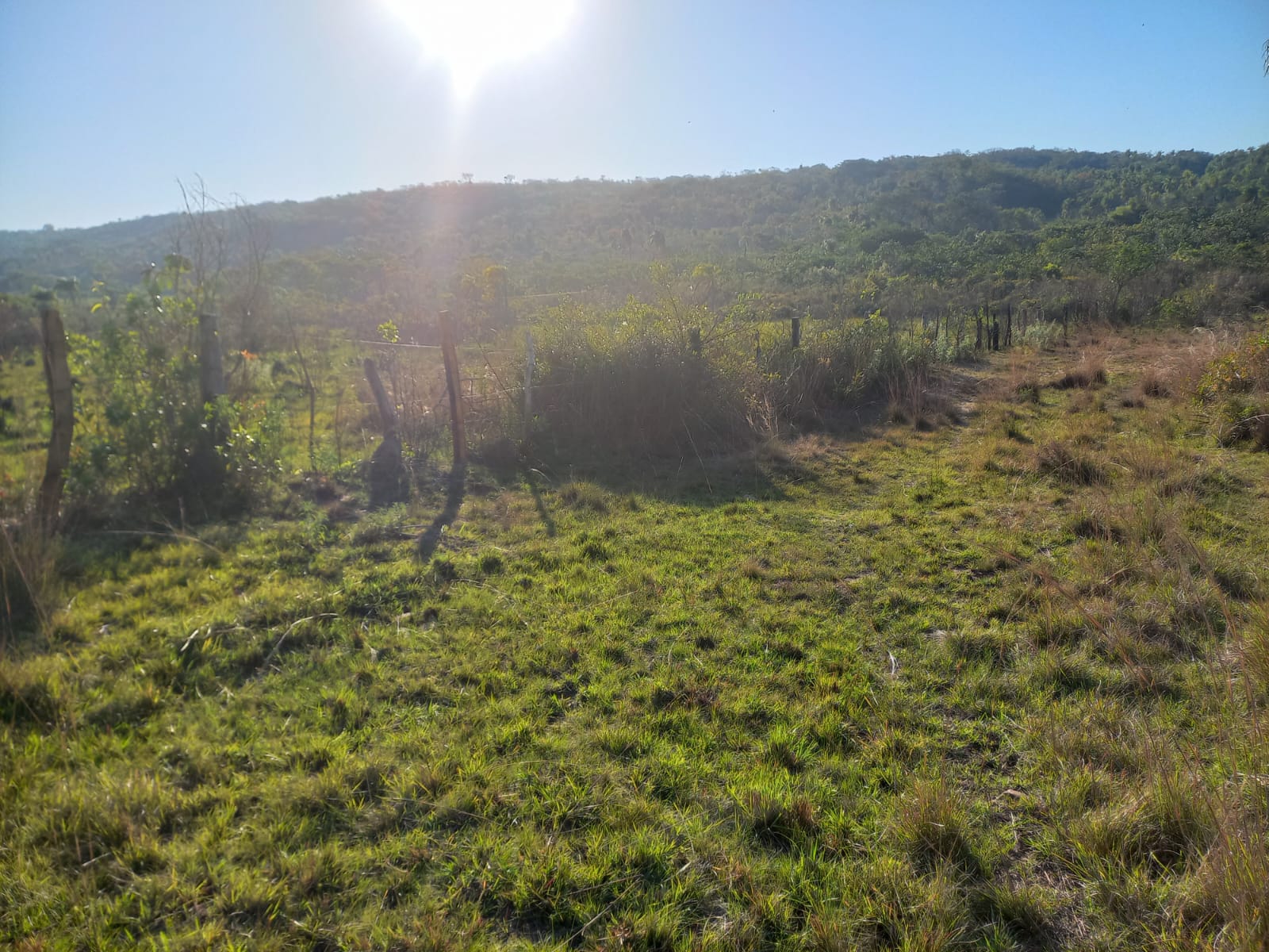 Propiedad de 46 hectáreas, Nueva Colombia, 800m del asfalto — foto 2