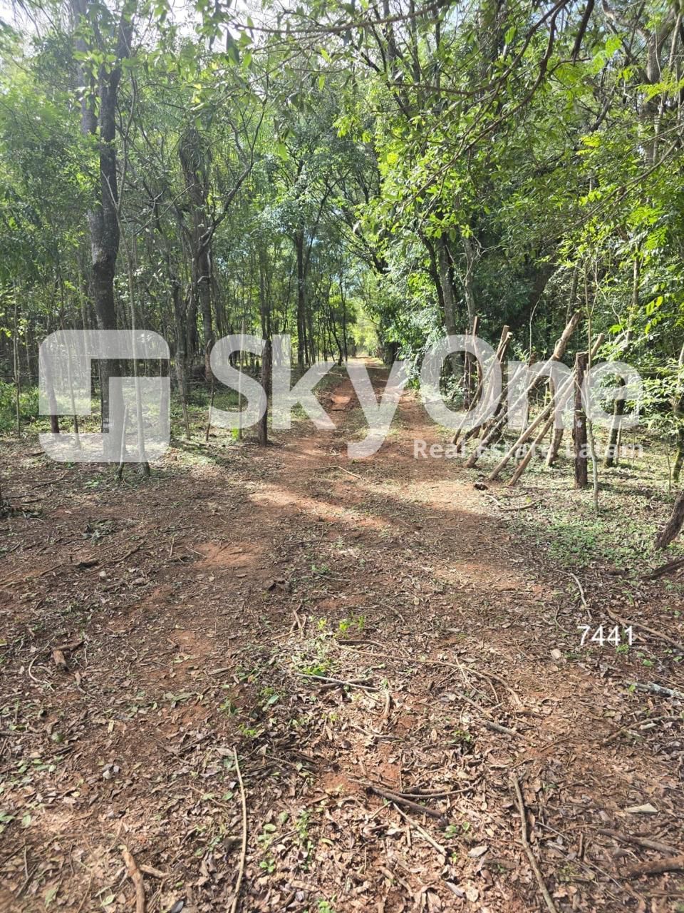 VENDO HECTAREAS EN ARROYOS Y ESTEREOS — foto 3