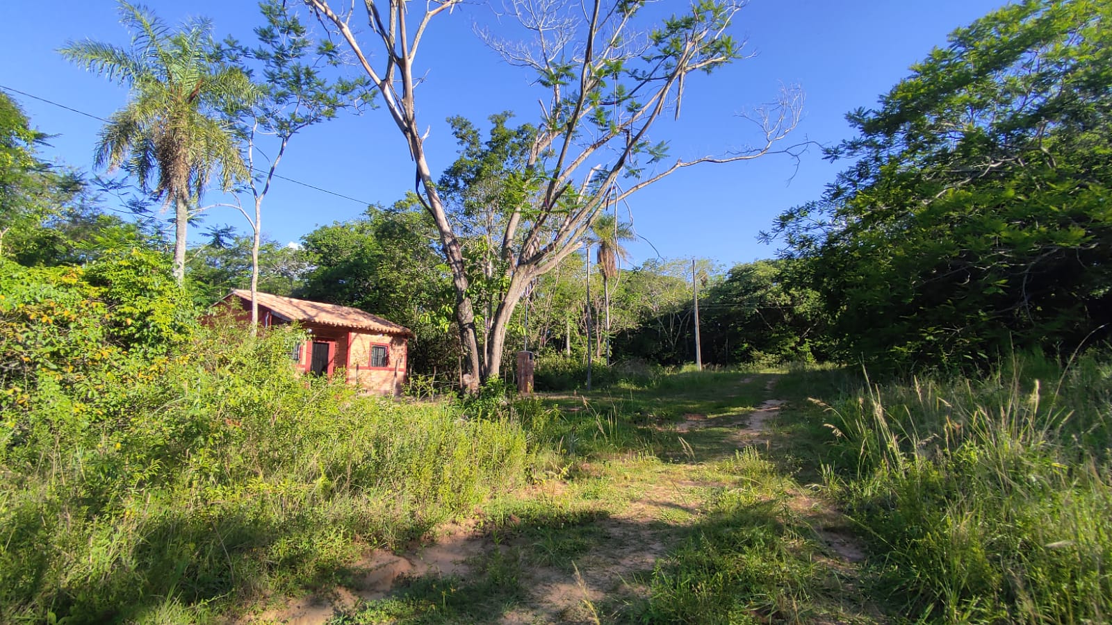 Terreno en venta en Caacupé – Compañía Ytumi — foto 3