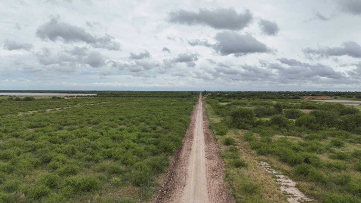 VENTA - Estancia formada 500 ha con pastura - Amalia, Boquerón — foto 2