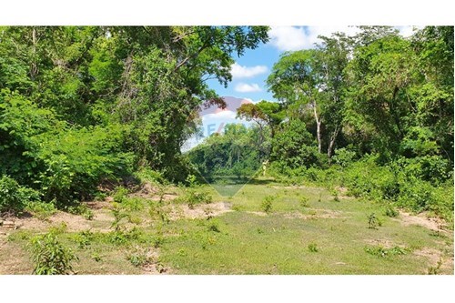 VENDO TERRENO EN ALTOS — foto 3